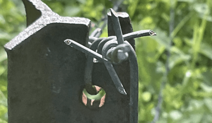 Qld Police investigating stock fence damage